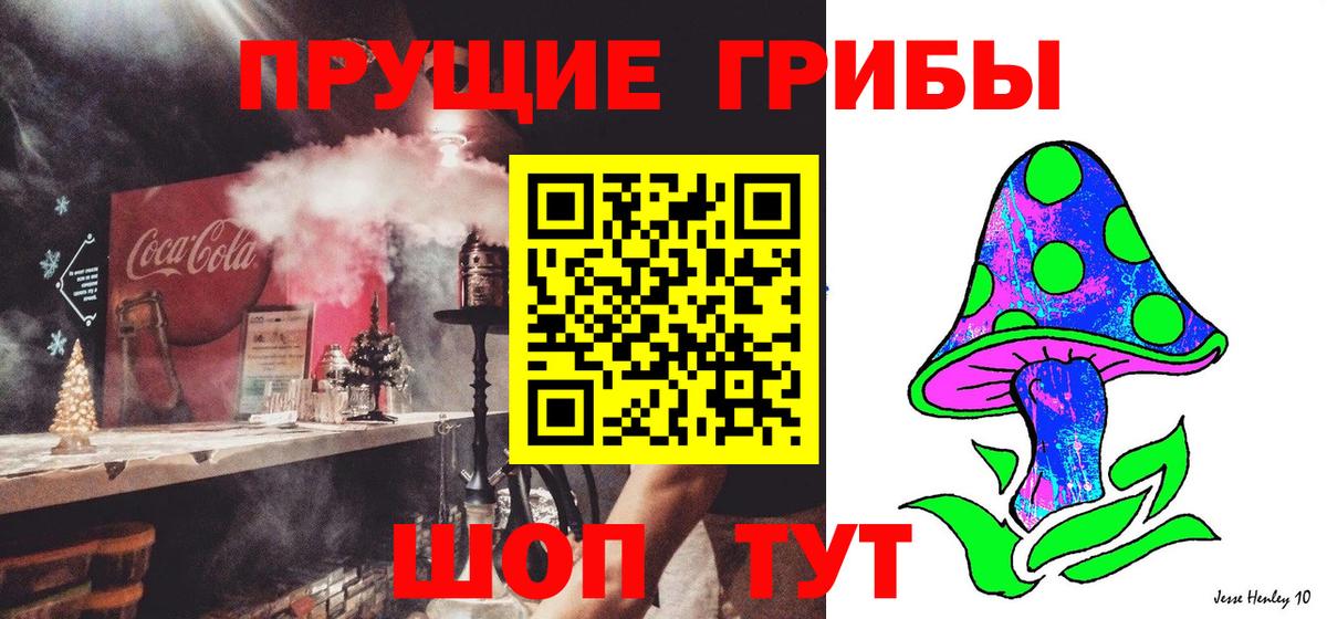 Псилоцибиновые грибы Psilocybe  цены   Переславль-Залесский  Вход с VPN  Галлюциногенные грибы ЛСД 